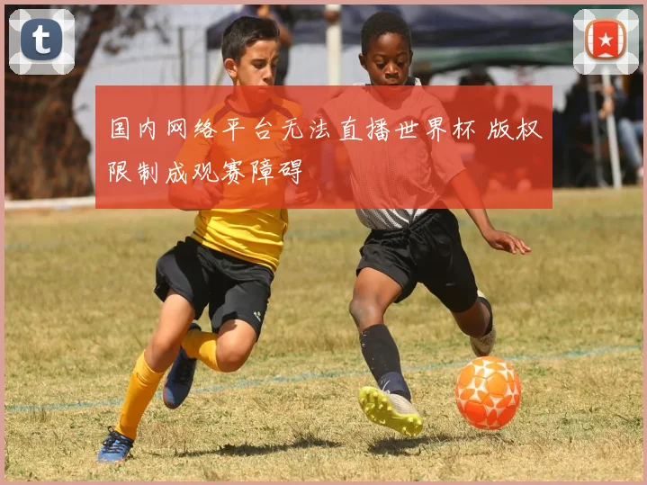 国内网络平台无法直播世界杯 版权限制成观赛障碍