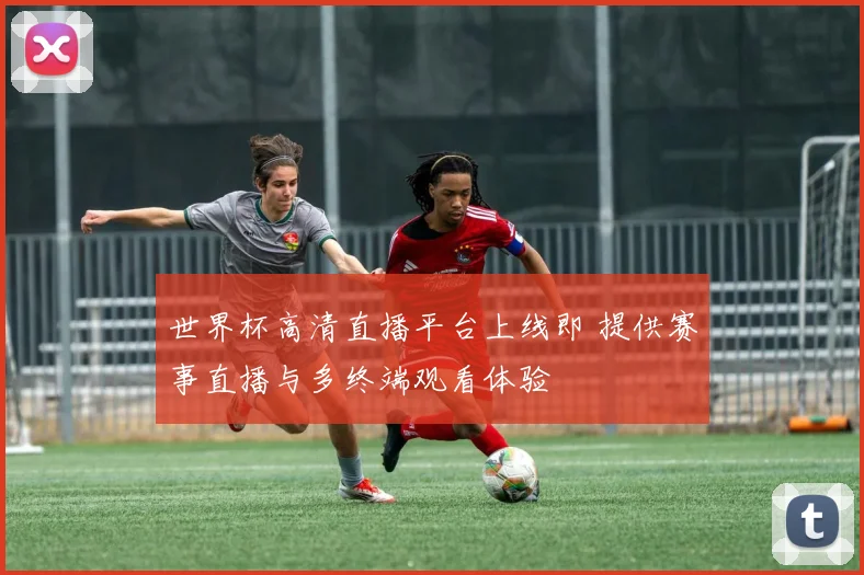 世界杯高清直播平台上线即 提供赛事直播与多终端观看体验