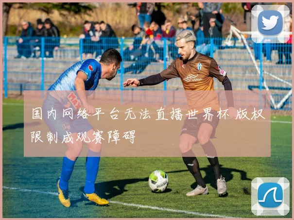 国内网络平台无法直播世界杯 版权限制成观赛障碍
